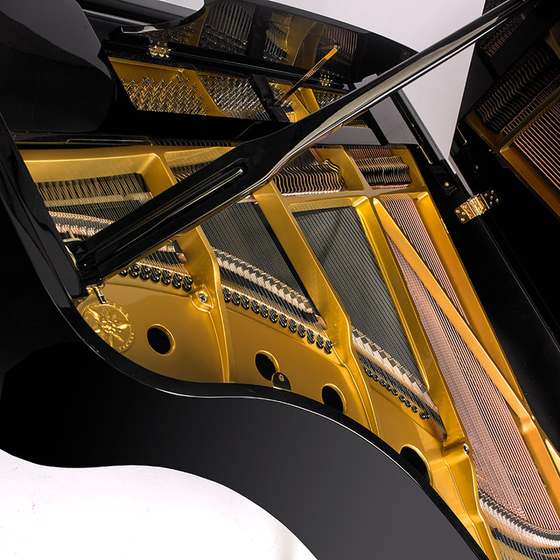 piano,grand,edelweiss,gold,black,glossy,flugel,classic,boudoir,ipod,virtuoso,self-play,tone
art,painting,portrait,commercial,industrial,photography,photographers,cambridge,cambridgeshire,advertising,pr photography,portfolio
Reeve Photography - 